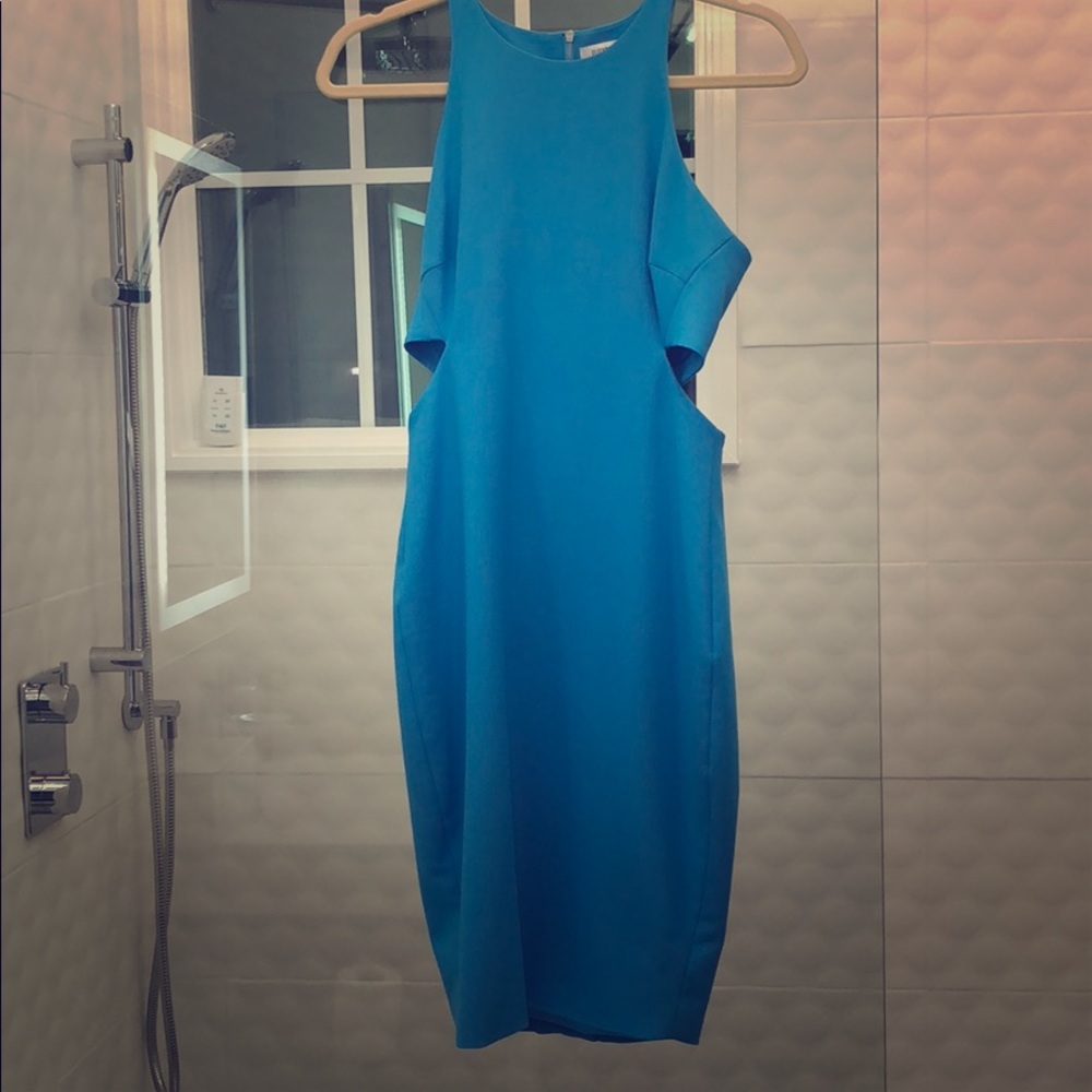 Elizabeth and James Sheath Dress